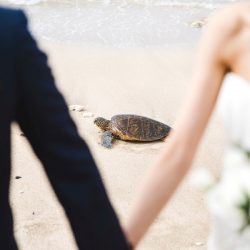 お客様のお写真が届きました♪@Four Seasons Resort Hualalai(フォーシーズンズリゾートフアラライ)