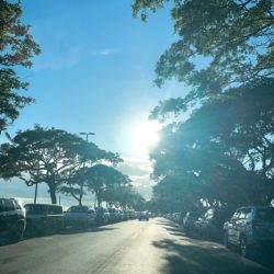 チアーズウェディングハワイサロンよりアロハ!