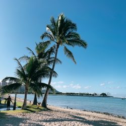 ハワイ通信～ハワイ事前検査プログラムの進捗について～