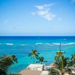 ハワイ通信<6月14日版>~カハラホテル宿泊再開&ブーゲンビリアが咲き始めました~