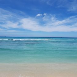 新しい生活様式~ハワイ編~