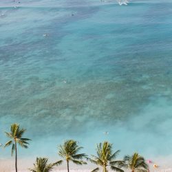 ハワイ通信<6月7日版>~ハワイのレストランがオープンしました~