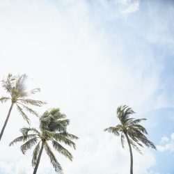 ハワイ通信<7月5日版>~ハワイのおすすめスポット紹介~