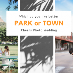 ハワイで撮影するなら、パーク派？タウン派？