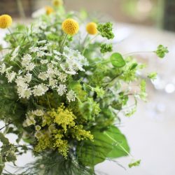 【今週末!8月29日(土)、30日(日)】ブライダルフェアのご予約受付中♪