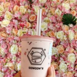 ハワイ通信<8月23日>~ローカル感が魅力なカイムキタウンのおすすめ観光~