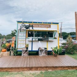 ノースショアのお洒落なフードカーのご紹介