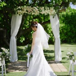 人気ドレスショップ／フォーシス＆カンパニー