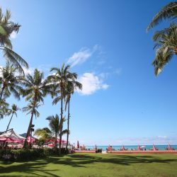 ハワイ通信＜11月15日＞～PCR検査受信の流れについて～