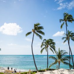 ハワイ通信～ハワイ14日間の隔離措置が免除について～