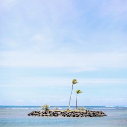 ハワイ通信＜11月22日＞～PCR検査受信の流れについて②～