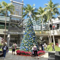 ハワイ通信＜12月20日＞～ZIPAIRの安心対策パックのご紹介／ハワイのクリスマスの様子～