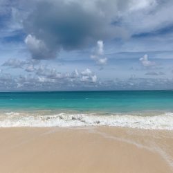 【3月6日】2021ハワイ通信