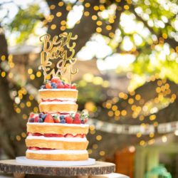 ウェディングケーキシリーズ　-ネイキッド-