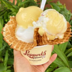 ハワイの気になるカフェシリーズ Lappert’s Hawaii