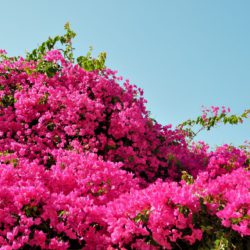 BLOG再開のお知らせ