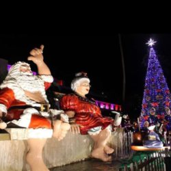 ホノルルシティライツ