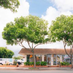 ハワイの気になるショップ -Protea Zero Waste-