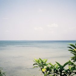 新ブランド『VIRIDI,』リリースのお知らせ