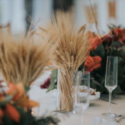 パーティーコーディネート-The Kahala Okekai-