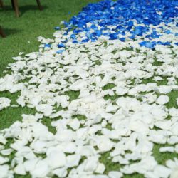 ブルーカラーのフラワーペタル