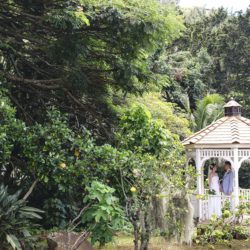 Nu‘uanu Congregational Church – ガゼボ-