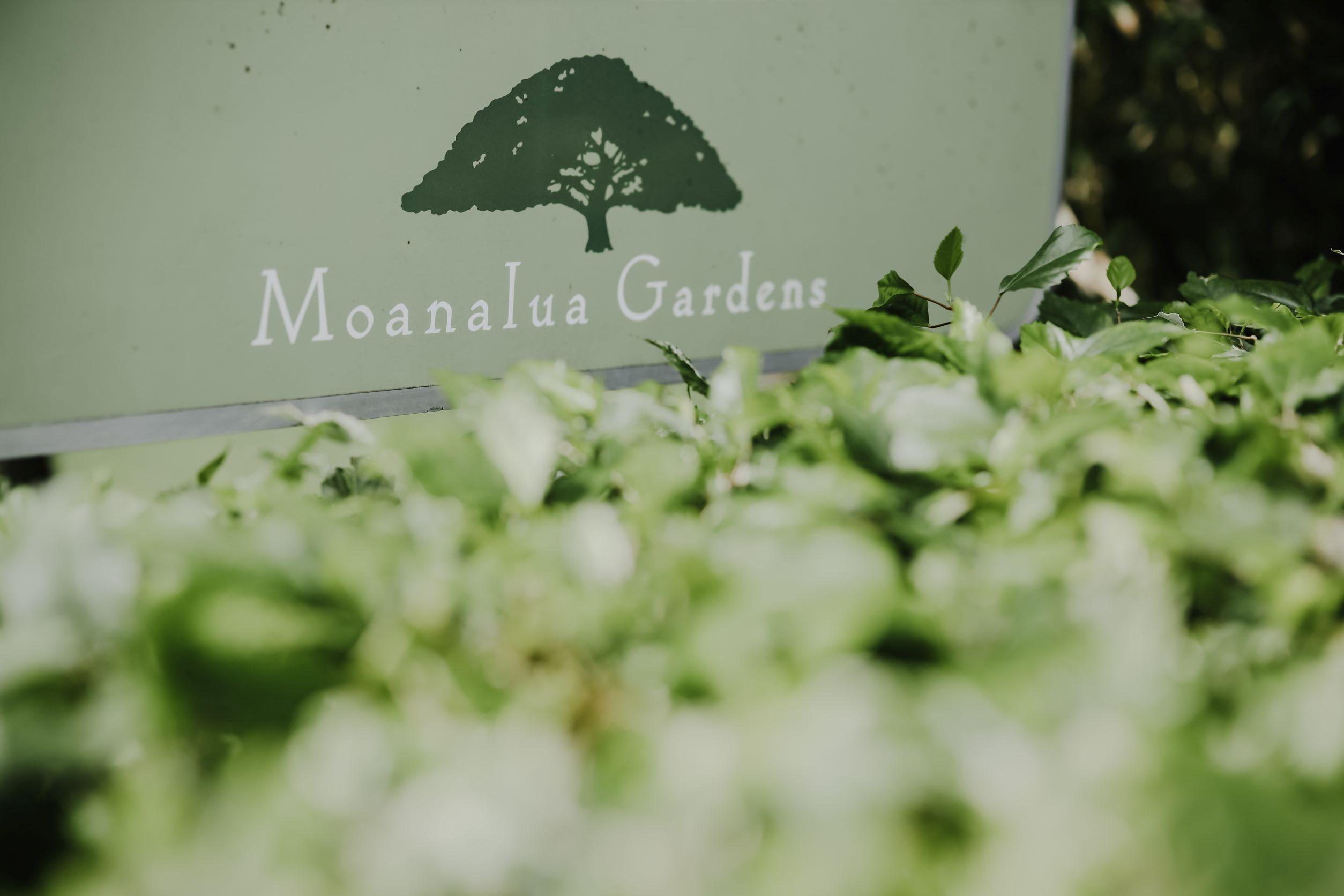 ハワイの気になる観光スポット -Moanalua Gardens-